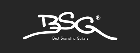 BSG Guitars - hand made guitars